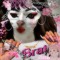Miss Kitty Kitty