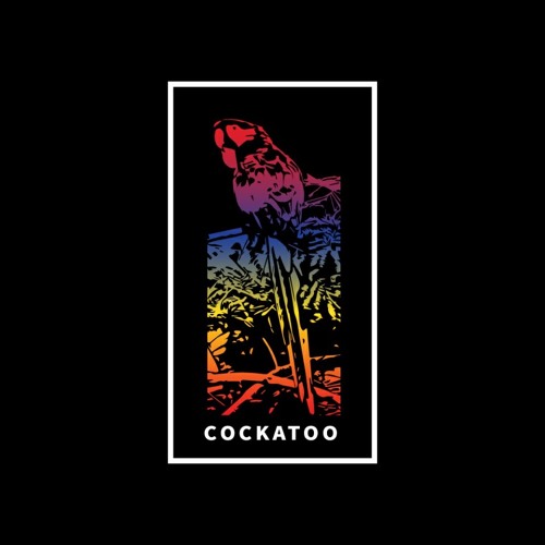 Cockatoo’s avatar