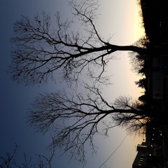 mruczanki