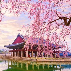 hinarahim1990@gmail.com