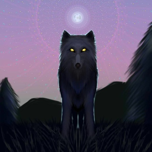 SoundCloud profile picture for @conducted