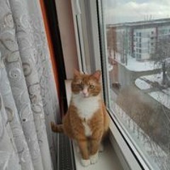 Ксения Громова