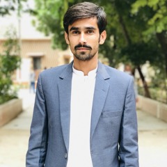 Hassan Raza