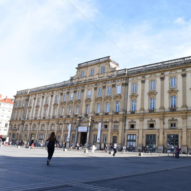 Musée des Beaux-Arts de Lyon