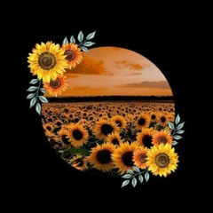 sunflower56