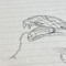 ツ
