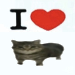 5nlee