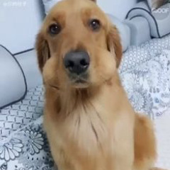 BIJOUX