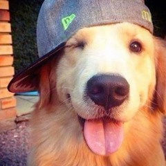 dxnny.user