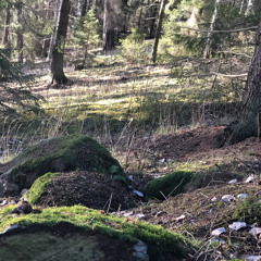 Melissa Dahlö Kantén