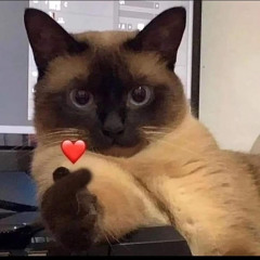Meow1707
