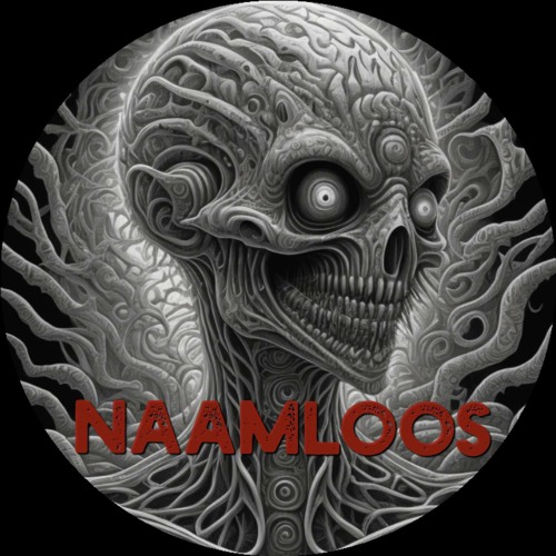 NAAMLOOS (ngs)’s avatar