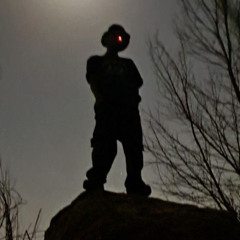 Peymaan_majidi
