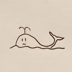 4次元くじら