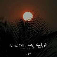 Mohamed El Sayed