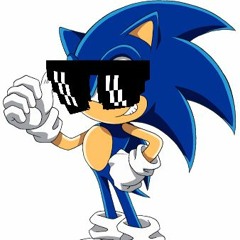 sonic swaggero