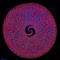 psy_co_kai