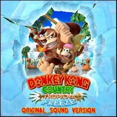 Donkey Kong Country Tropical Freeze OST 2