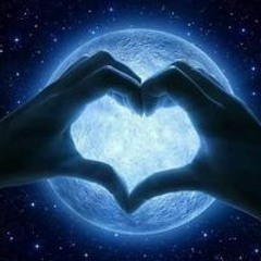 خالد المصري