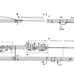 Niloufar Shiri |  نیلوفر شیری