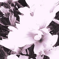 FlowersxY