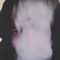 CrazyJeff7