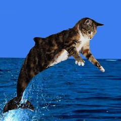 ★которыбка ест бетон★