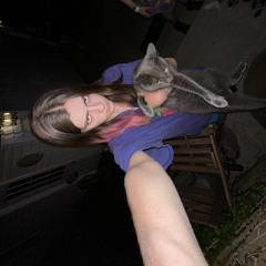 55burgers55fries55tacos