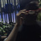 Slx slime