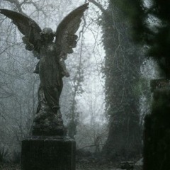 ❦𝙆𝙞𝙣𝙜𝙙𝙤𝙢𝙃𝙚𝙖𝙧𝙩𝙨❧      ̤̮