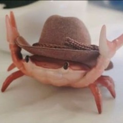 zakrkooo