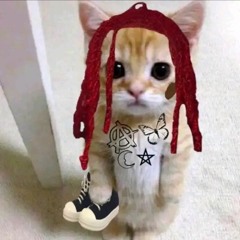 Remkkie'sSon