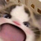 saayaa