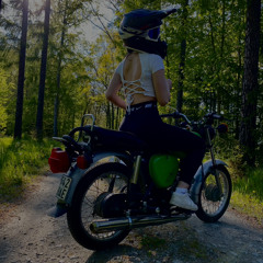 vxli_gunnarsen