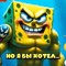 gubka