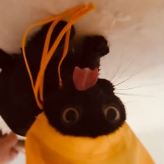 Shinee - jmywmy 지미 위미