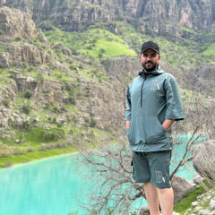 alireza beheshti