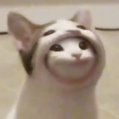 sammy