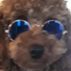 fuzzyoongii
