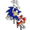 🔵★Sonic T Hedgehog★🔵