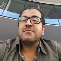Yousef M Yousef