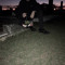 Rkng444