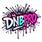 DnBpro