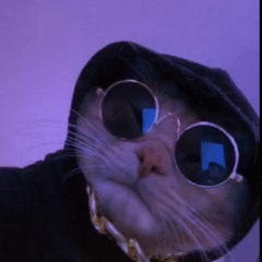 shadyjady