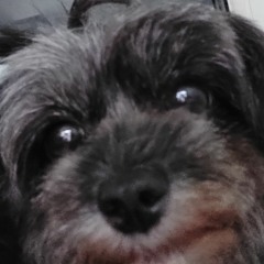 moonbapp