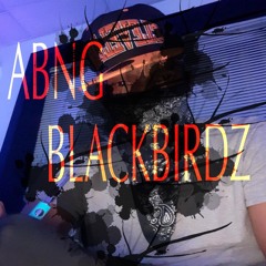 A.B.N.G. BLACKBIRDZ