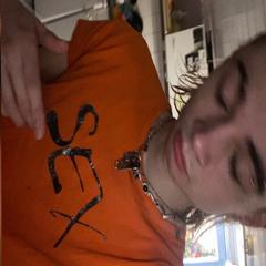 bulbi