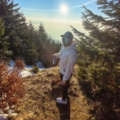 jordan.plts