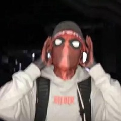 Jay