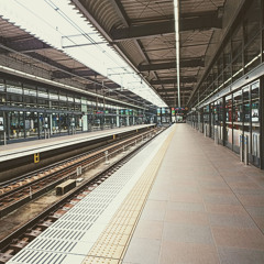 M Shimizoo